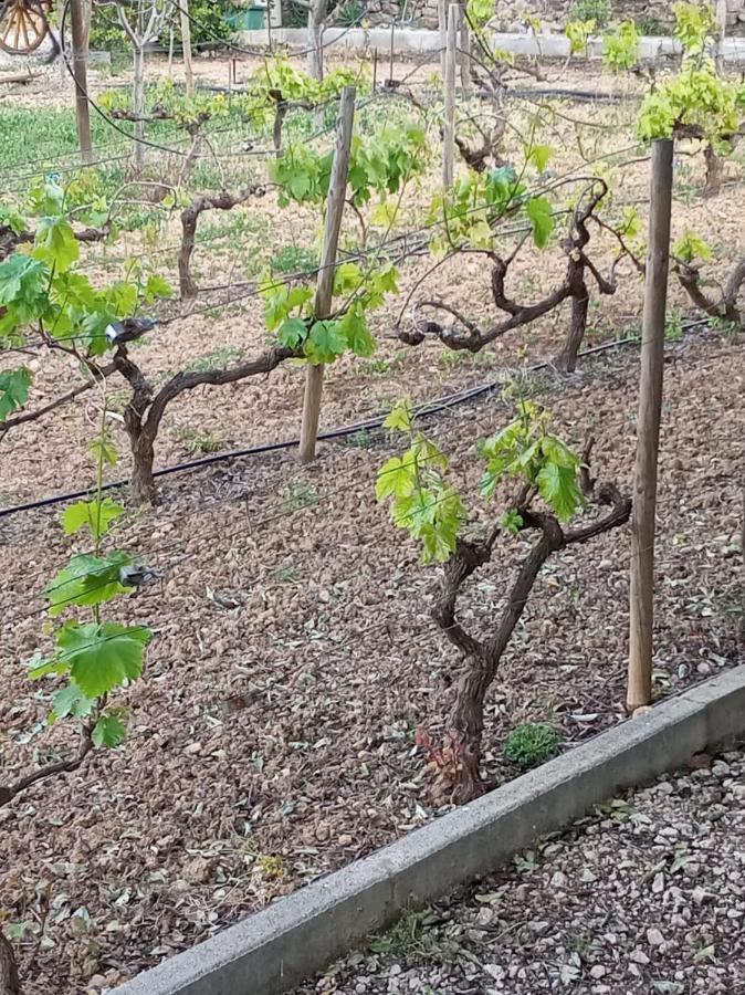Monte Papa Figos Βίλα Malhao  Εξωτερικό φωτογραφία